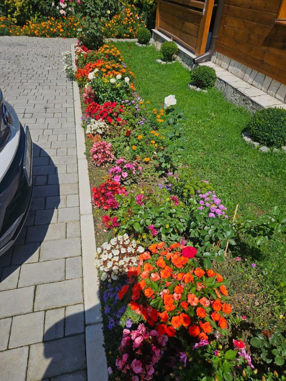 Guesthouse Sandra Kolašin Kültér fotó